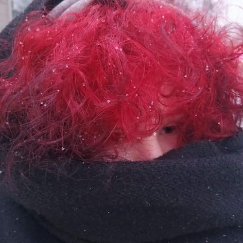 Photo #11687294