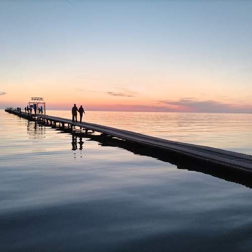 Photo #11687352