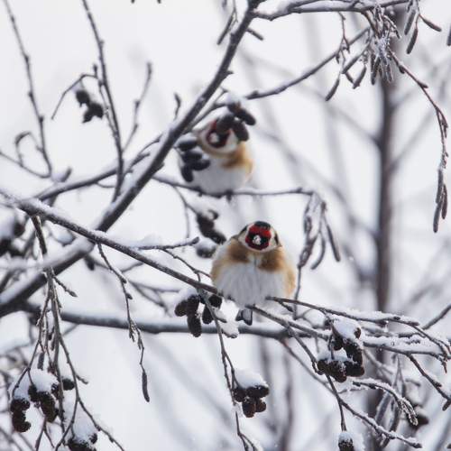 Photo #11687353