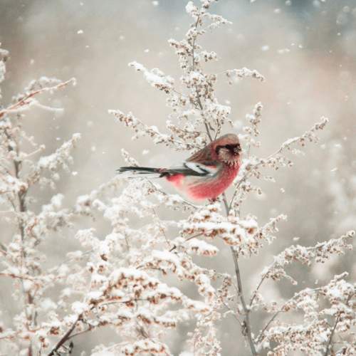 Photo #11687355