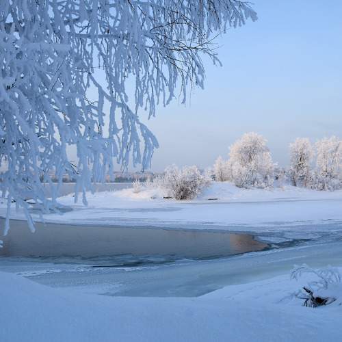 Photo #11687368