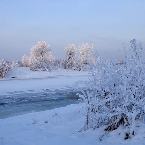 Photo #11687389