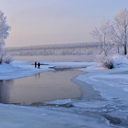 Photo #11687393