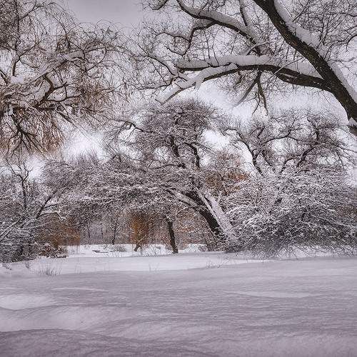 Photo #11687409