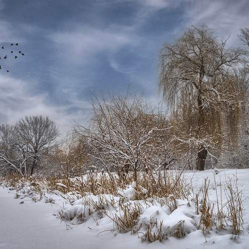 Photo #11687411