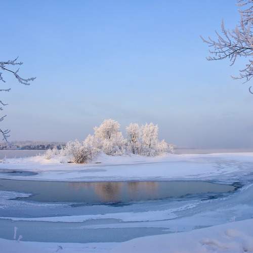 Photo #11687454