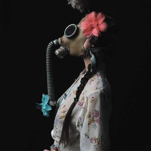 Photo #11687473