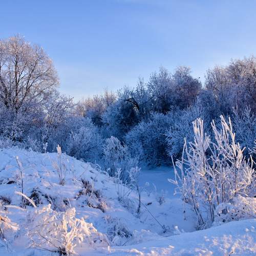 Photo #11687475