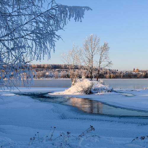 Photo #11687483