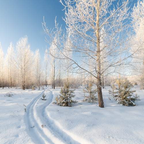 Photo #11687527