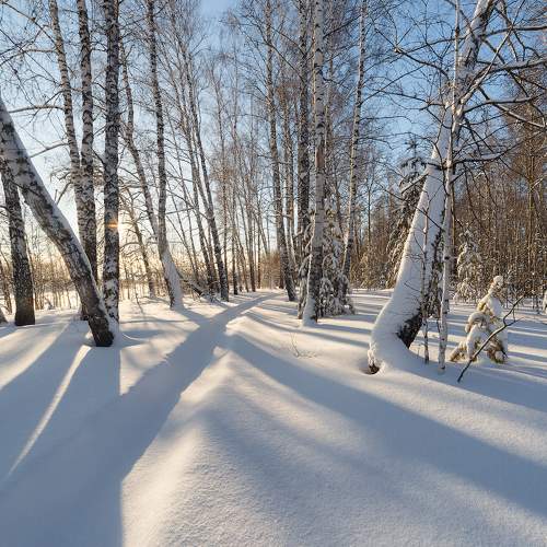 Photo #11687541