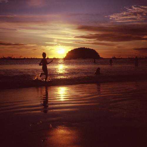 Photo #11687621