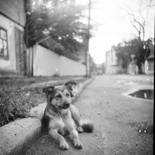Photo #11687705