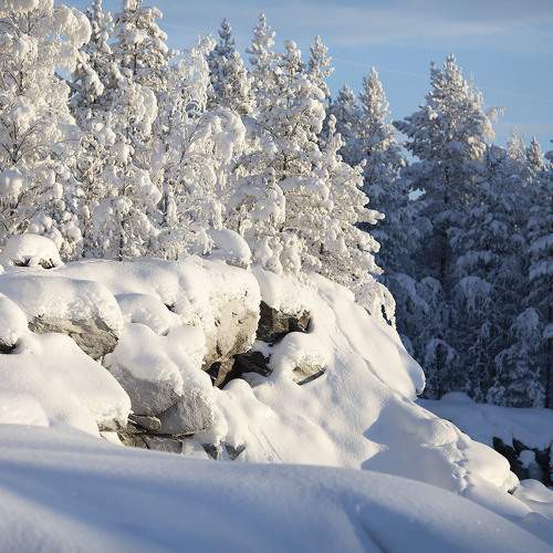 Зима в Заполярье