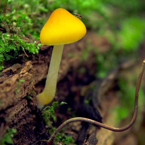 Photo #11688310