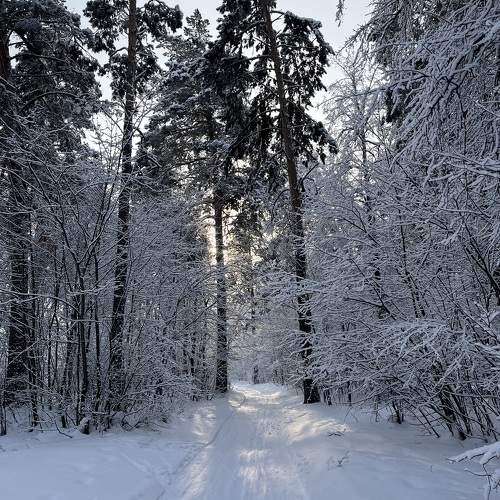 Photo #11688316