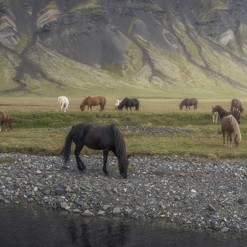 Фотография #11688331