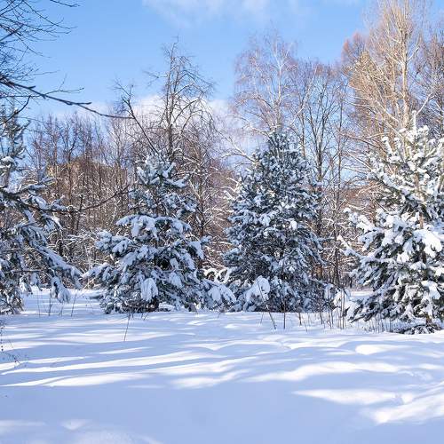 Photo #11688353