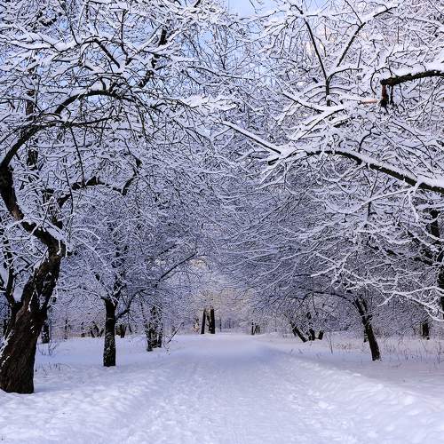 Photo #11688388