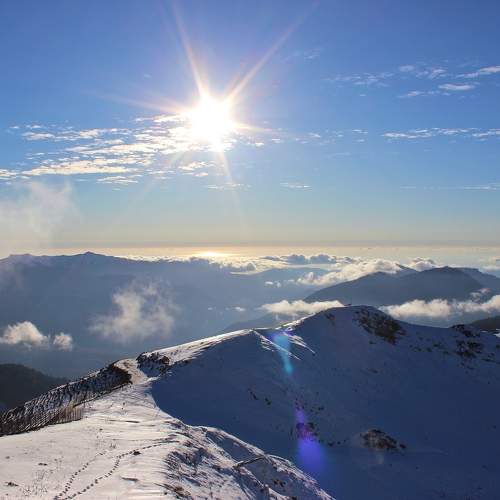 Photo #11688407