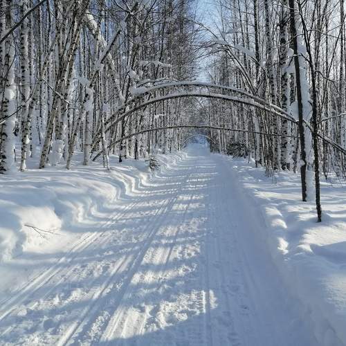 Photo #11688569