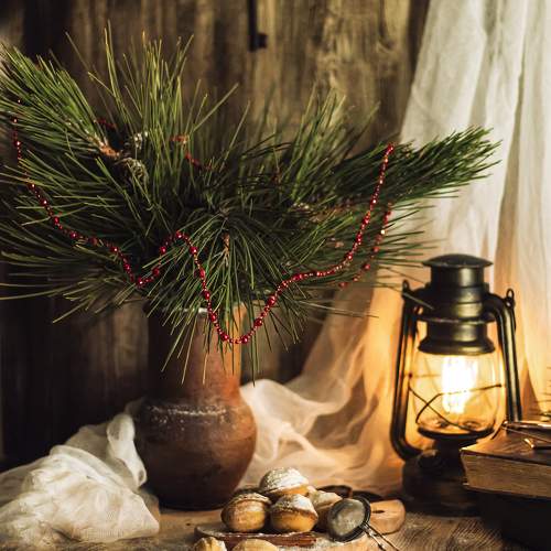 Photo #11688612