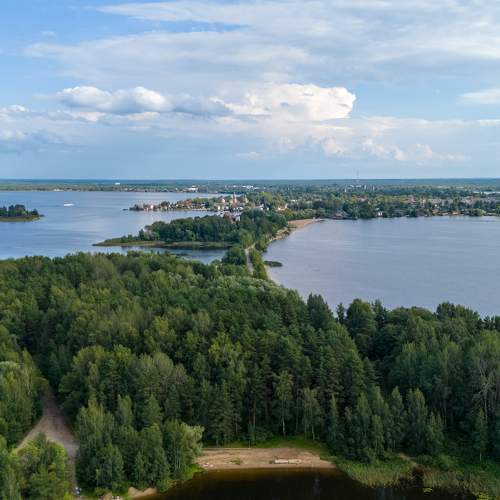 Photo #11688721