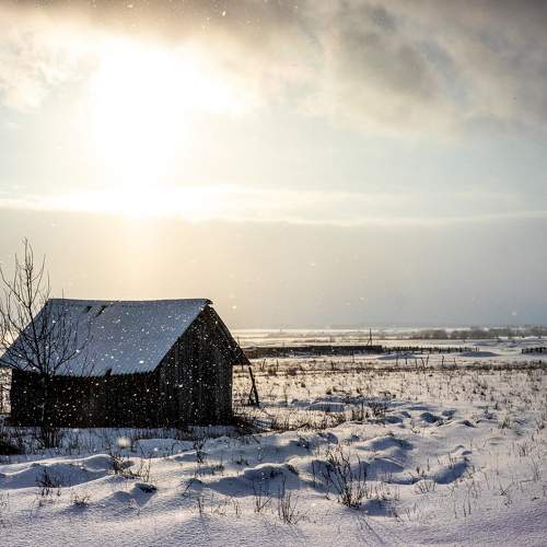 Photo #11688911