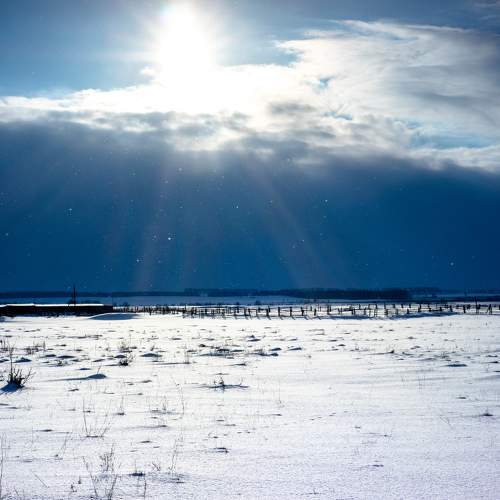 Photo #11688914