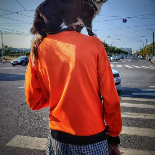Photo #11688928
