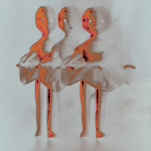 Photo #11689037
