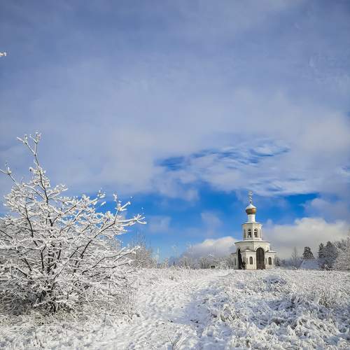 Photo #11689043