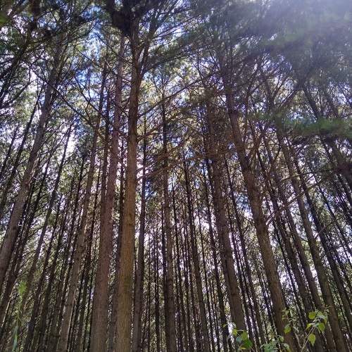Photo #11689484