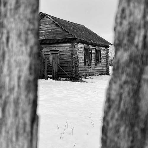 Photo #11689761