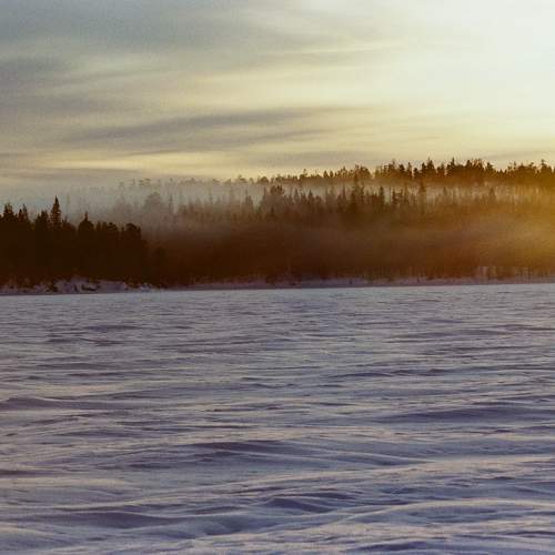 Photo #11689901