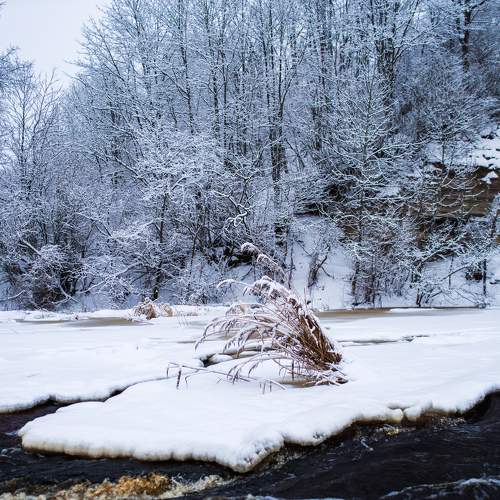 Photo #11689934