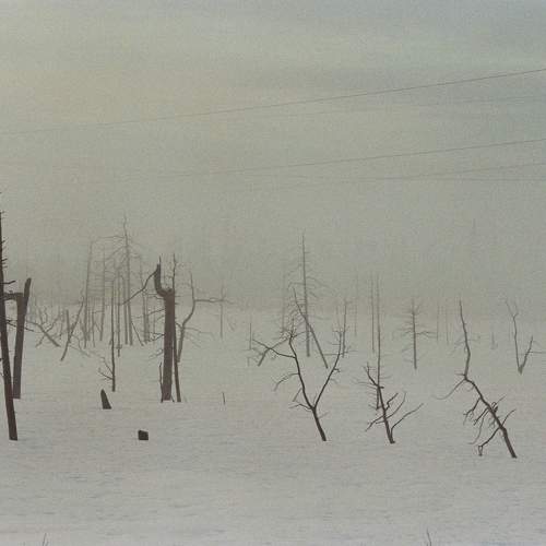 Photo #11689984