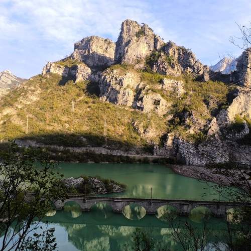 Photo #11690233