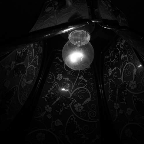 Photo #11690603