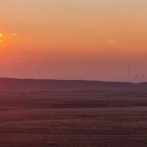 Photo #11690832