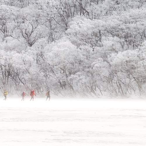 Photo #11691014