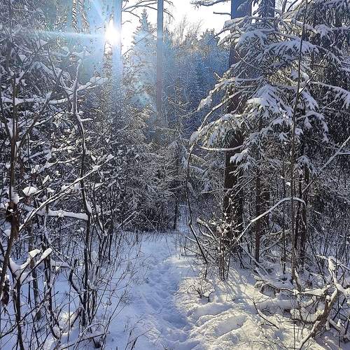 Photo #11691105