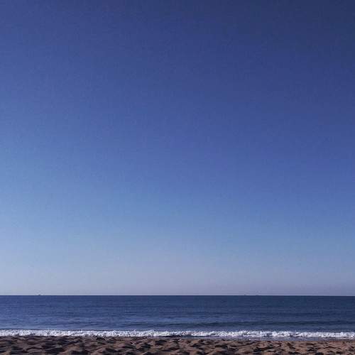 Photo #11691123