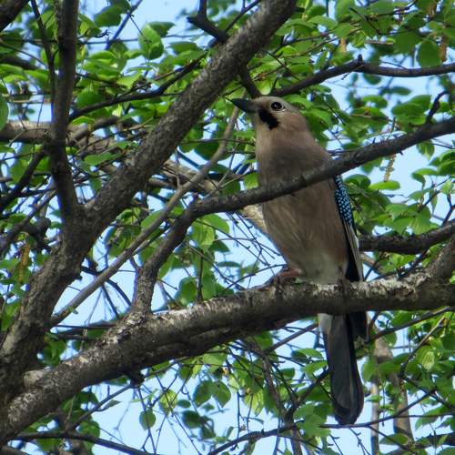 Photo #11691286