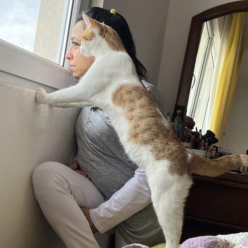 Photo #11691503