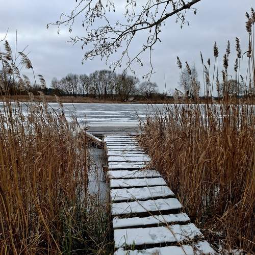 Photo #11691590
