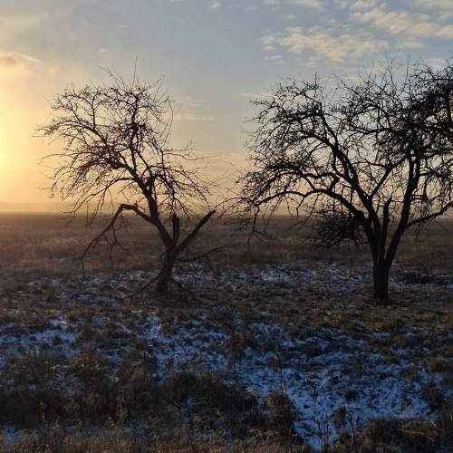 Photo #11691600