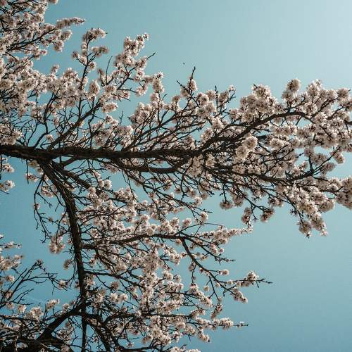 Photo #11692099