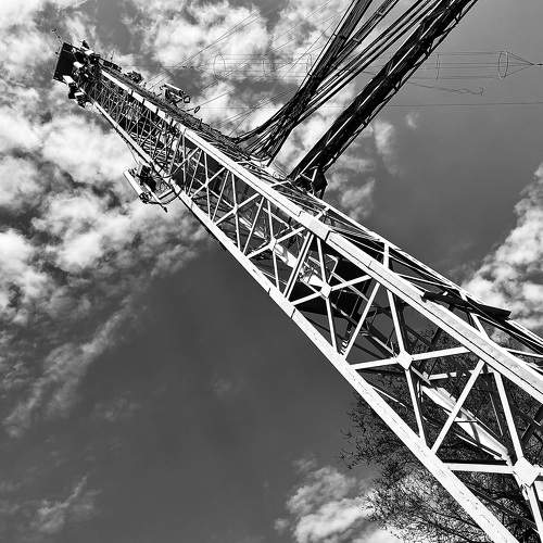 Photo #11692100
