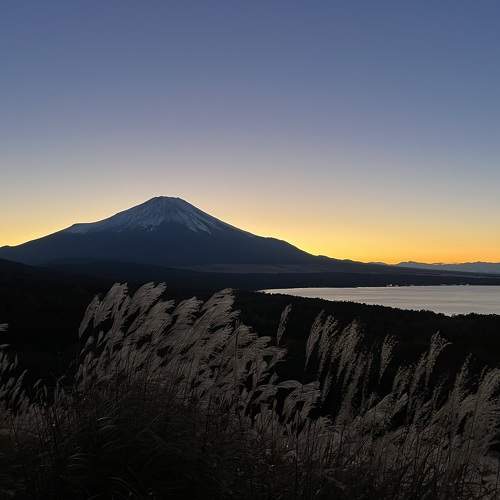 Photo #11692151